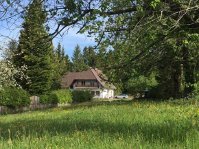 B & B Der Waldvogel